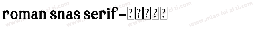 roman snas serif字体转换
